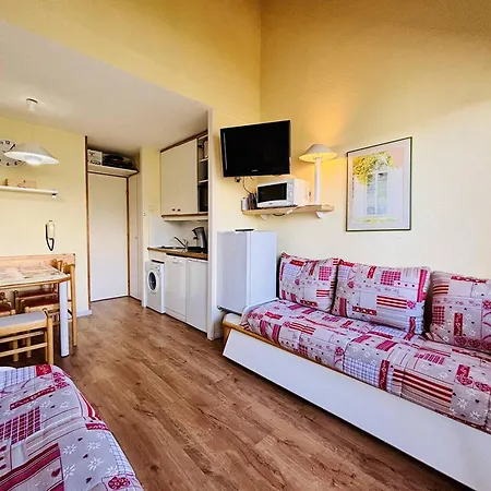 Cosy 2 Pieces A La Plagne, Animaux Acceptes - Fr-1-353-57 Apartment La Plagne