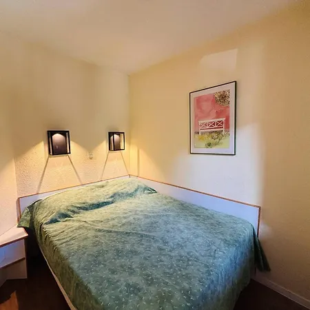 Cosy 2 Pieces A La Plagne, Animaux Acceptes - Fr-1-353-57 Apartment La Plagne