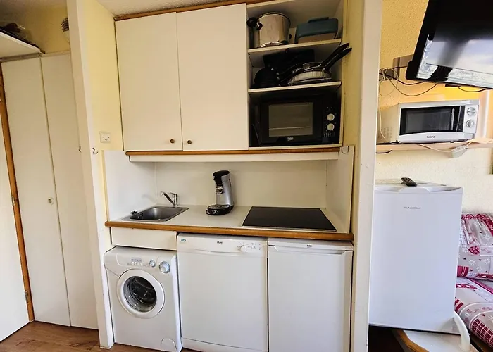 Cosy 2 Pieces A La Plagne, Animaux Acceptes - Fr-1-353-57 Apartment