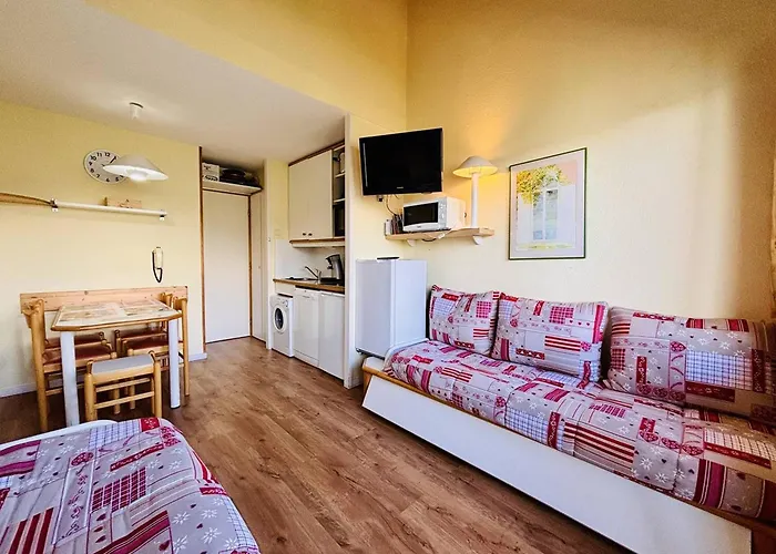 Cosy 2 Pieces A La Plagne, Animaux Acceptes - Fr-1-353-57 Apartment La Plagne