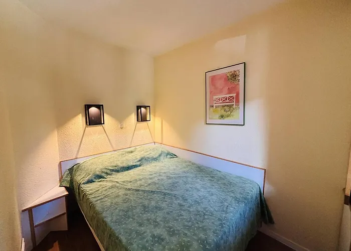 Cosy 2 Pieces A La Plagne, Animaux Acceptes - Fr-1-353-57 Apartment La Plagne