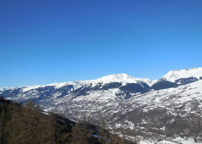 Cosy 2 Pieces A La Plagne, Animaux Acceptes - Fr-1-353-57 Apartment La Plagne